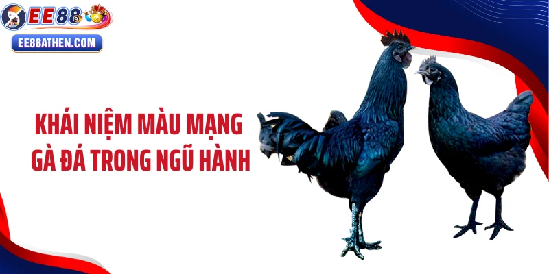 Khái niệm màu mạng gà đá trong ngũ hành